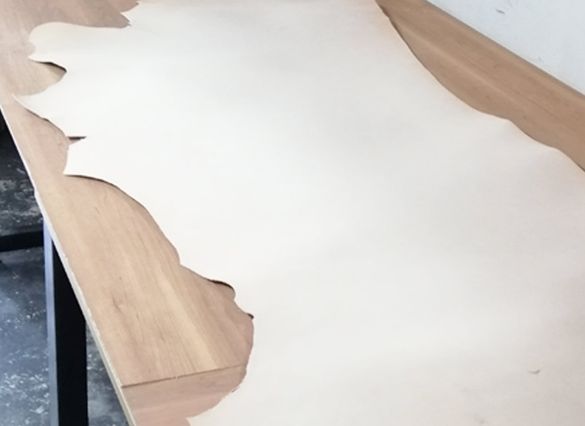 ヌメ革のサンプル画像