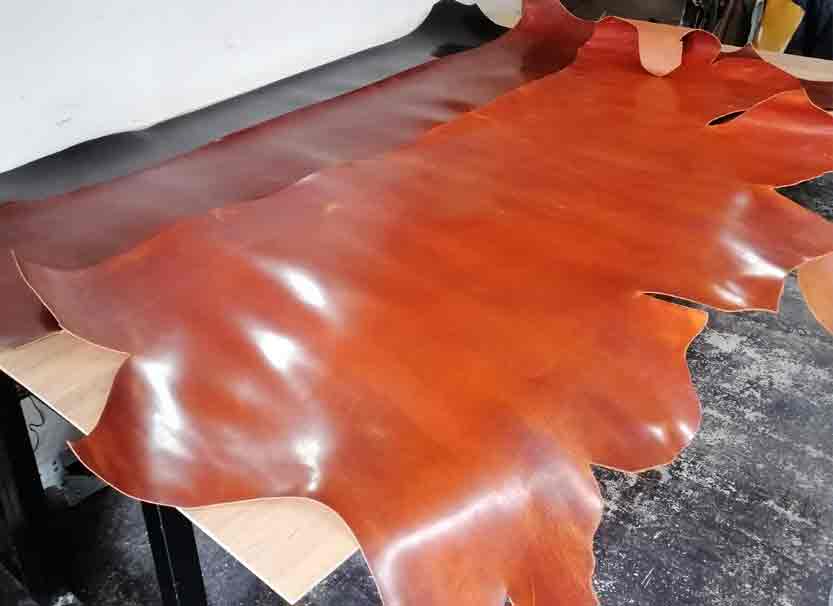 成牛の半裁サイズの画像