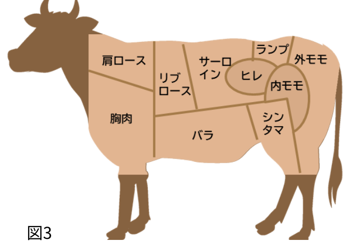 牛肉の部位