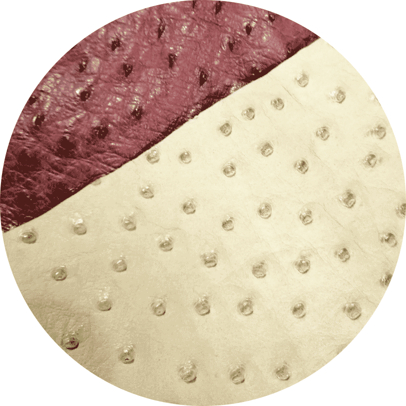 オーストリッチ